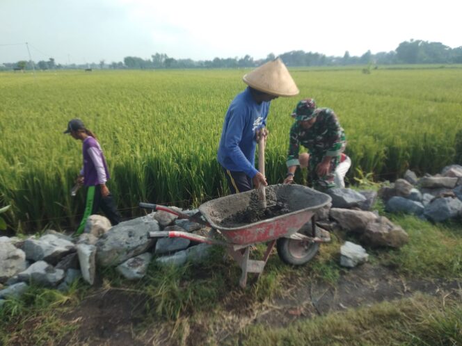 
					Gotong Royong Membangun Talud Jalan Sawah di Desa Plosorejo Sragen