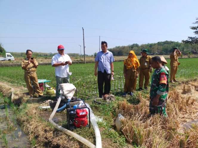 
					Babinsa Guli Dukung Program Swasembada Pangan dengan Pompanisasi di Boyolali