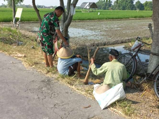 
					Babinsa Koramil Sawit Dorong Swasembada Pangan Melalui Komsos dengan Petani