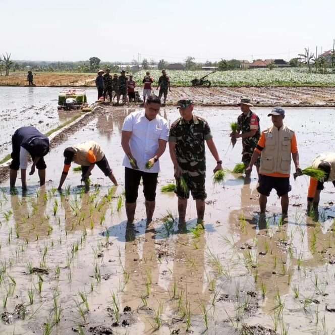 
					Kodim 0724/Boyolali Dukung Pencanangan Wamentan dalam Program Perluasan Areal Tanam Padi