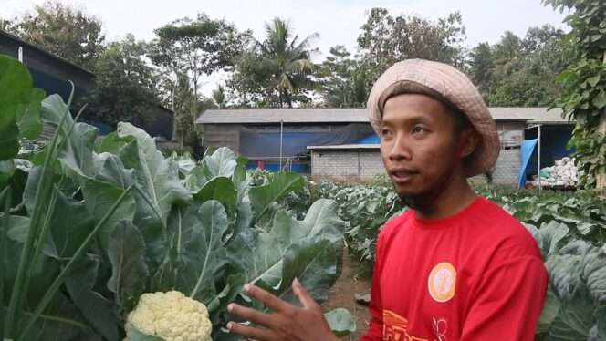 
					Eko Pambudi, S. Pd. I
Pemilik Usaha pertanian SJA (Sinar Jaya Abadi) FARM